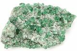Fluorescent Green Fluorite Cluster - Diana Maria Mine, England #208863-1